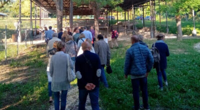 Pisaurum Net: Pesaro si svela con l’archeologia