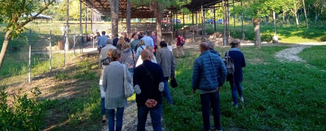 Pisaurum Net: Pesaro si svela con l’archeologia